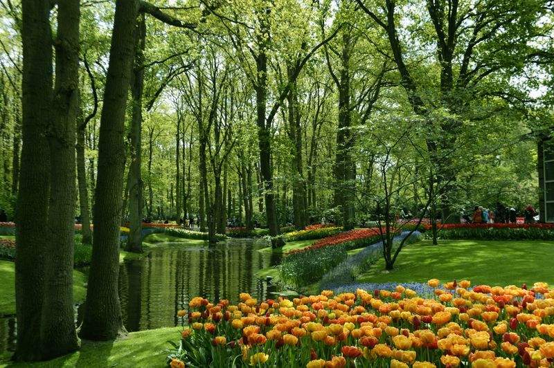 Evergreen Bloom Garden Co. 5